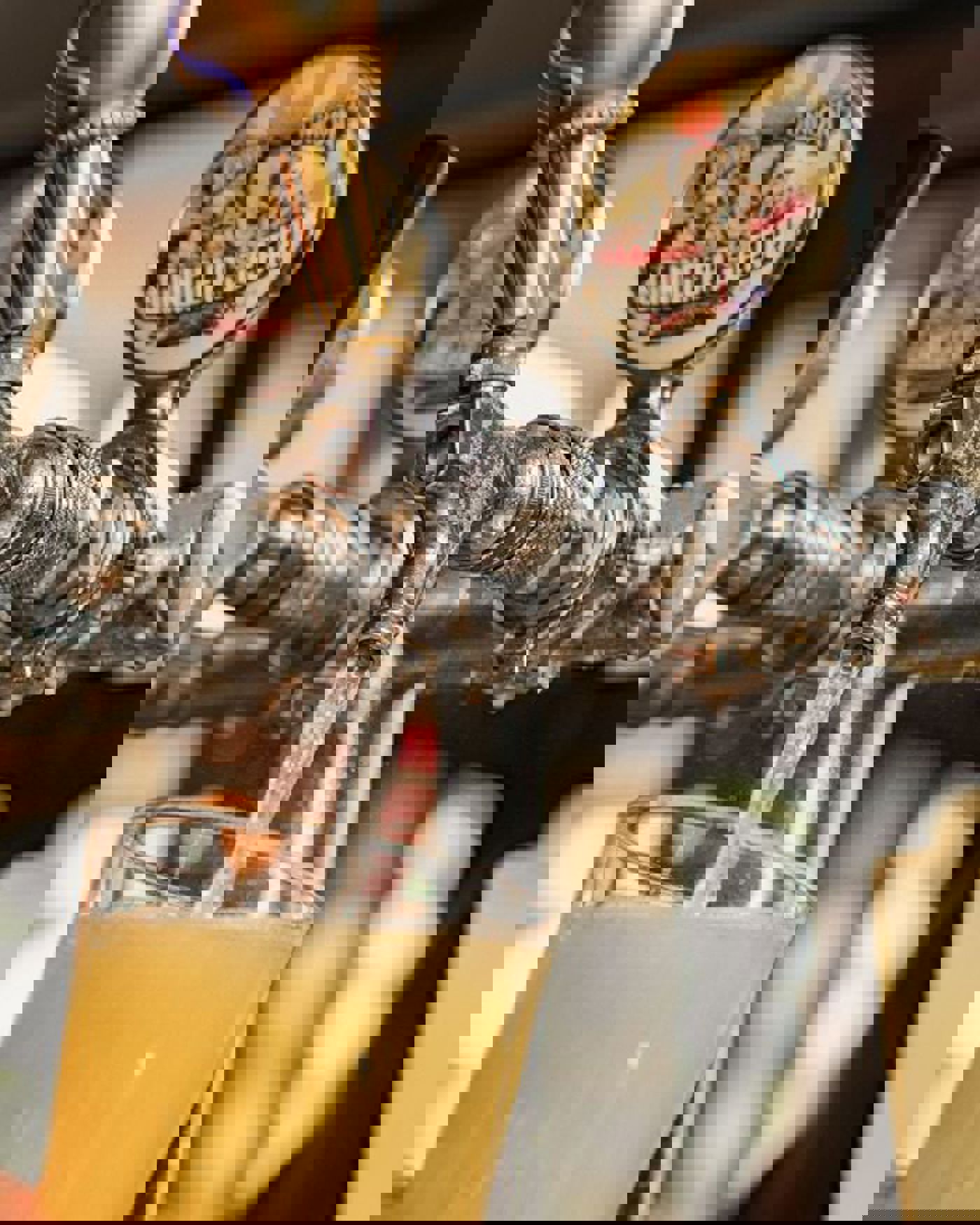 Brookvale Union Ginger Beer No.1 Ginger Beer in Australia Tight but